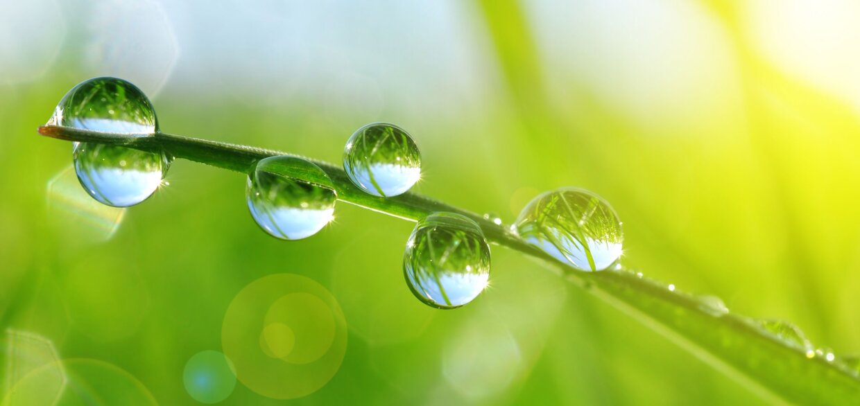 Regentropfen Wasserschutz mit Lithon GeoClean